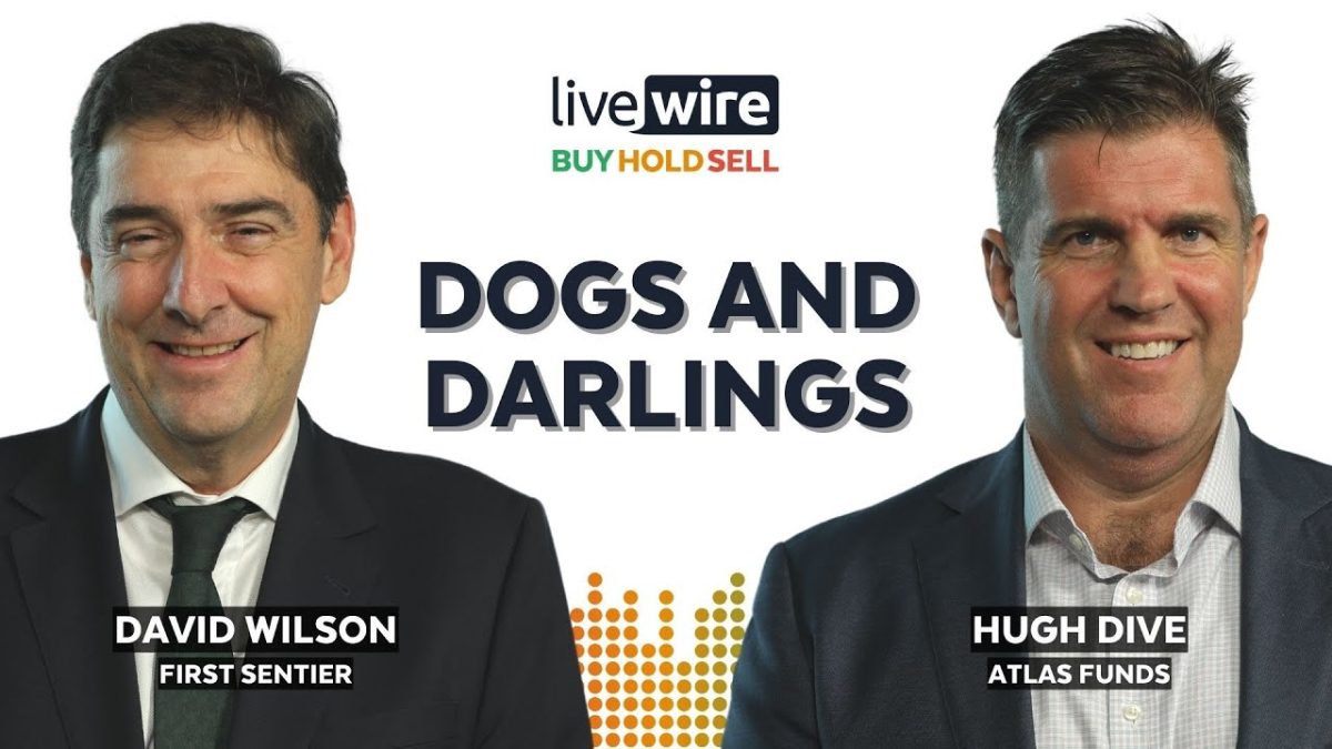 Livewire: The dogs and darlings of the ASX in 2023 (and what to back in 2024)